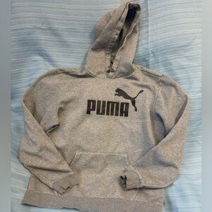Puma Men's Gray Hoodie